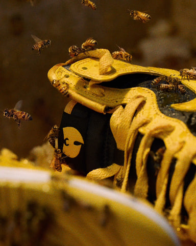 NIKE X WU DUNK (2024)